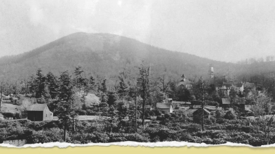 Family History Videos